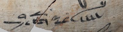 honeybee in Egyptian