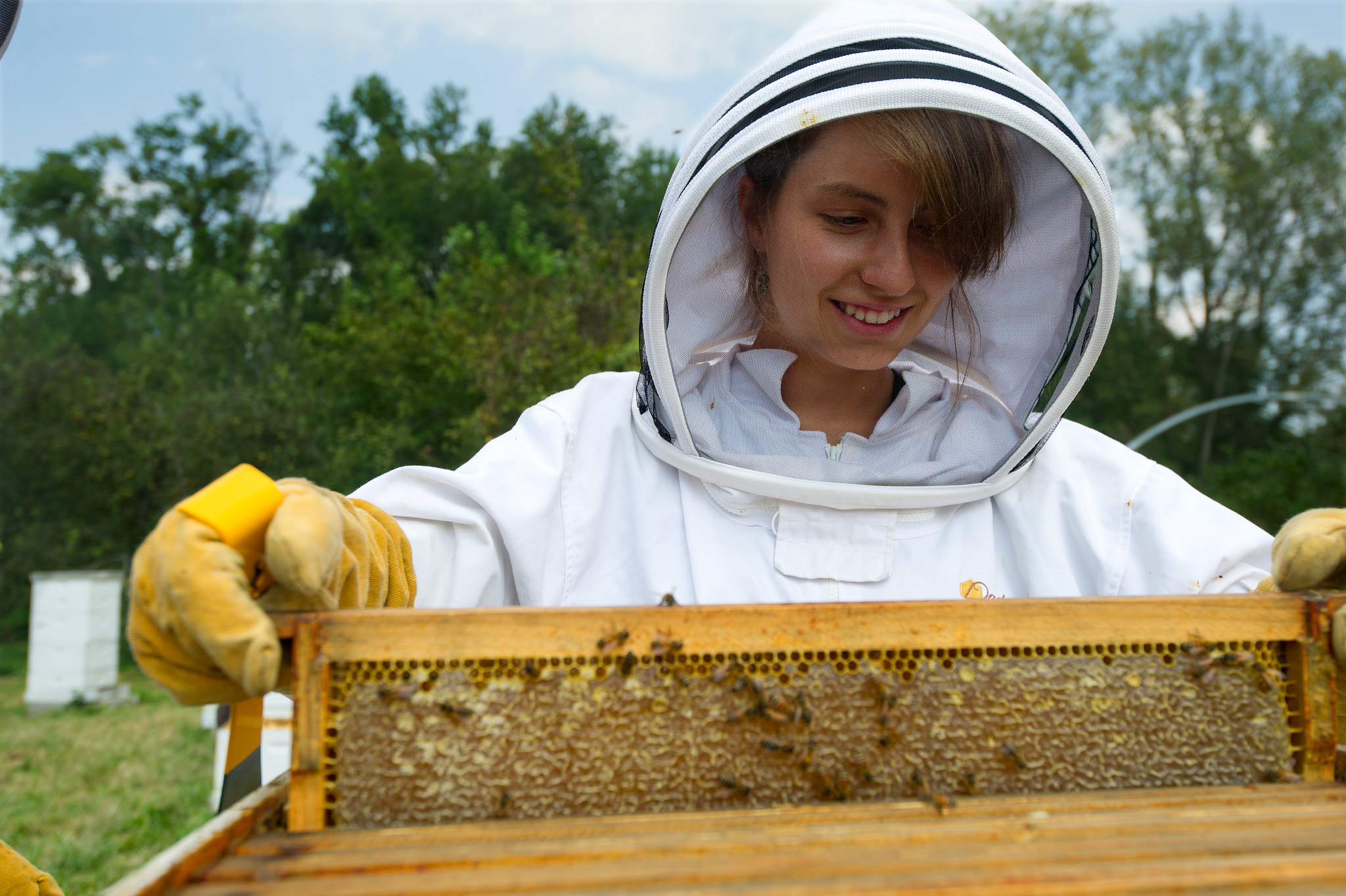 Beekeeper
